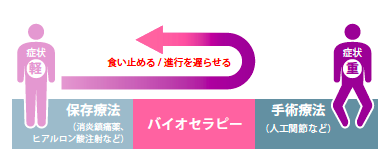 バイオセラピーについて
